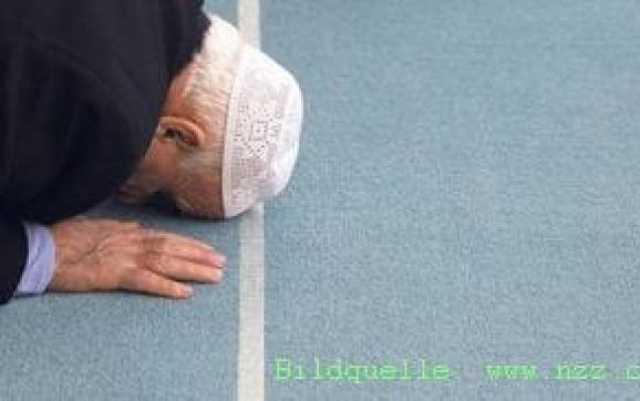 Der Islam auf der Suche nach Anerkennung (2016)