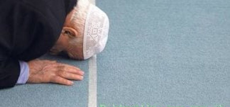 Der Islam auf der Suche nach Anerkennung (2016)
