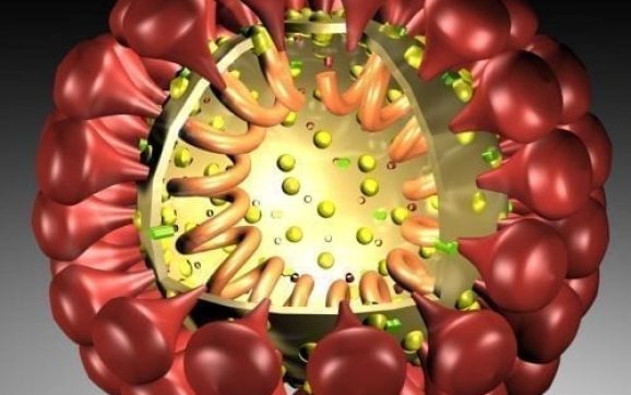 COVID-19-Epidemie: Bundesrat erklärt «ausserordentliche Lage»