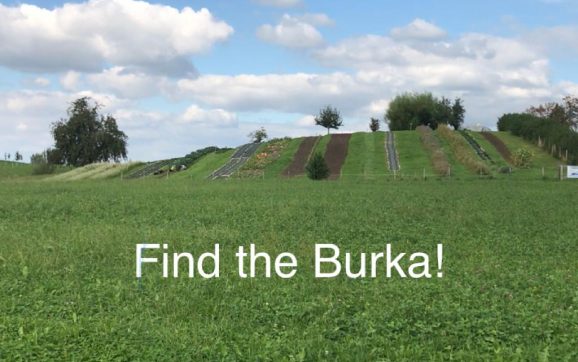 Burka Initiative – Wettbewerb