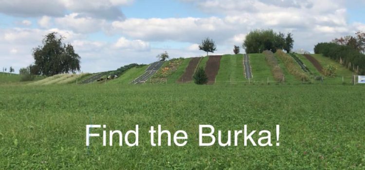 Burka Initiative – Wettbewerb